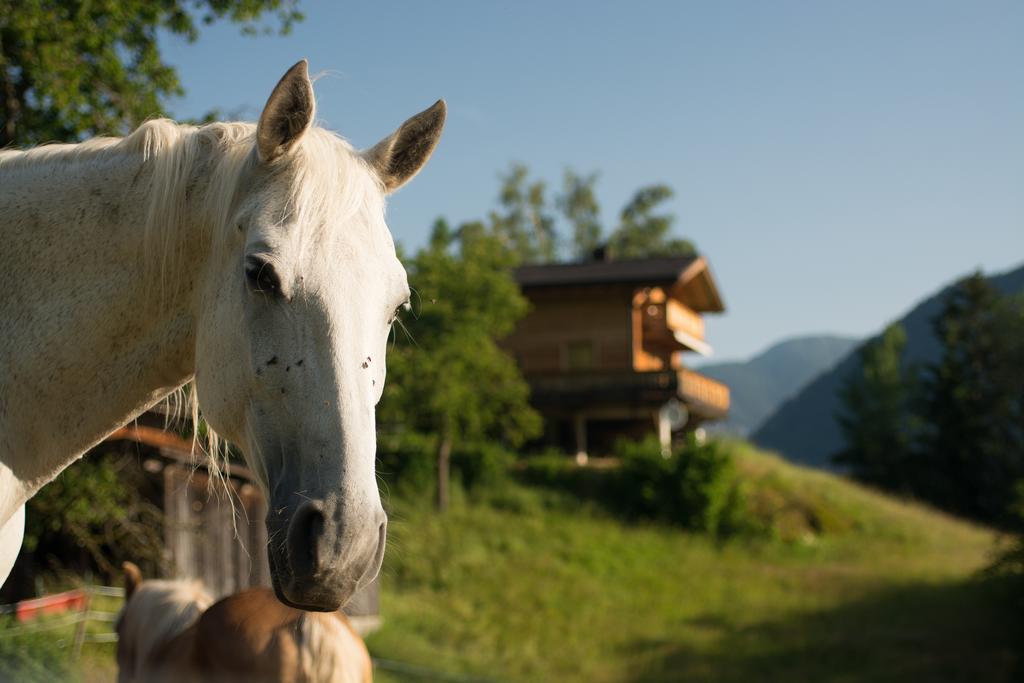 Готель Ferienhaus Oetztal Заутенс Екстер'єр фото