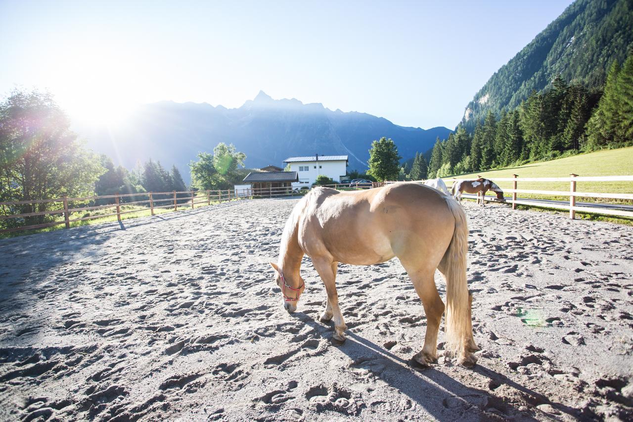 Готель Ferienhaus Oetztal Заутенс Екстер'єр фото