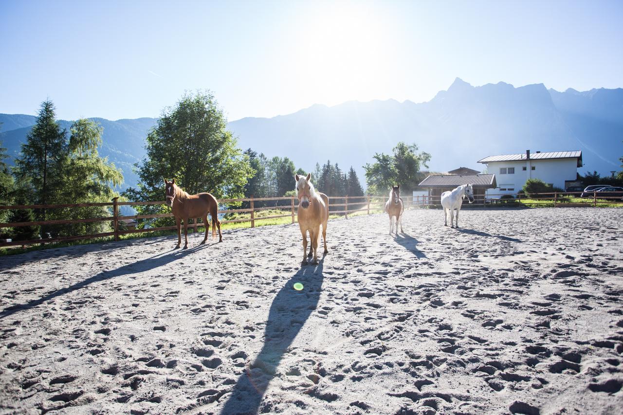 Готель Ferienhaus Oetztal Заутенс Екстер'єр фото